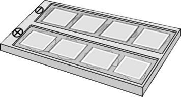 rehydration of 8 PhastGel cut-outs