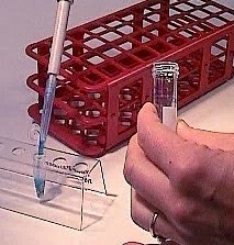 Extraction Buffer pipetted