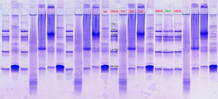 standards, serum and meat, nativ anodal