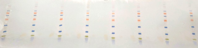 ResultatNitrocelluloseKlein