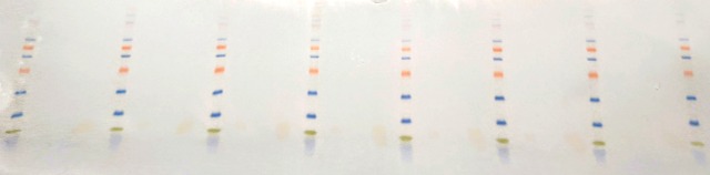 ResultatNitrocelluloseKlein