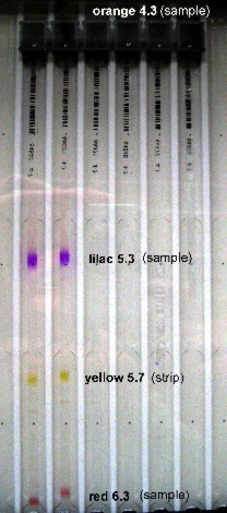 acidic amphoteric colours in the sample