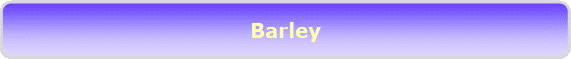 Barley