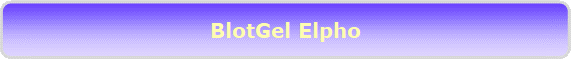 BlotGel Elpho