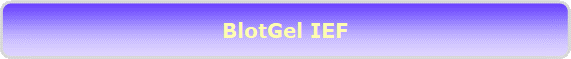 BlotGel IEF