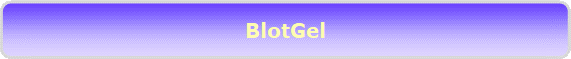 BlotGel