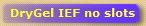 DryGel IEF no slots