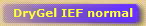 DryGel IEF normal