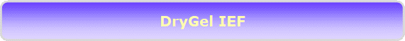 DryGel IEF