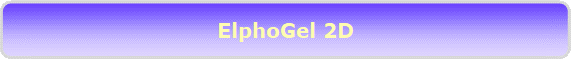 ElphoGel 2D