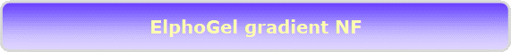 ElphoGel gradient NF
