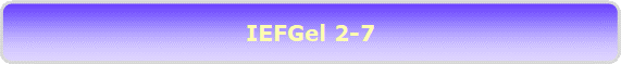 IEFGel 2-7