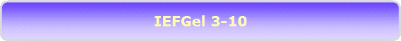 IEFGel 3-10