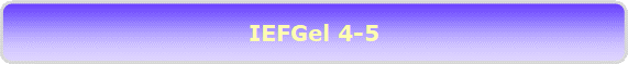 IEFGel 4-5
