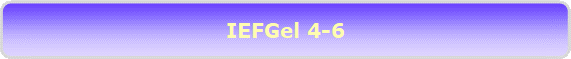 IEFGel 4-6