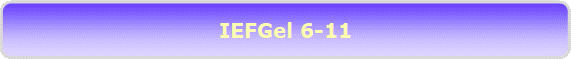 IEFGel 6-11