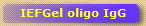 IEFGel oligo IgG