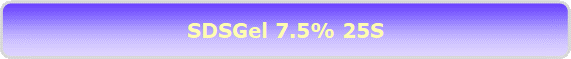 SDSGel 7.5% 25S