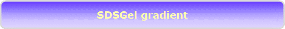 SDSGel gradient