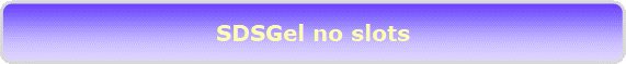SDSGel no slots