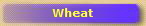 Wheat