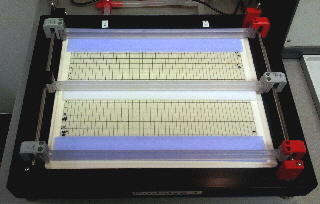 flatbed IEF prof. with 3 electrodes