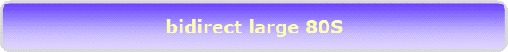 bidirect large 80S