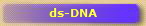 ds-DNA