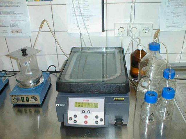 autostainklein