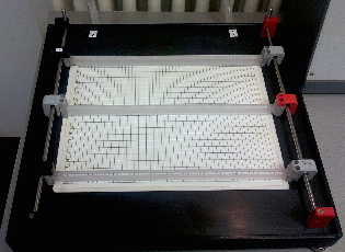 bidirect IEF with three electrodes