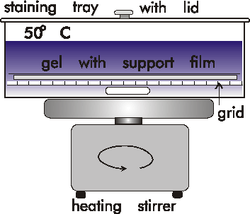 Hot Coomassie Assembling